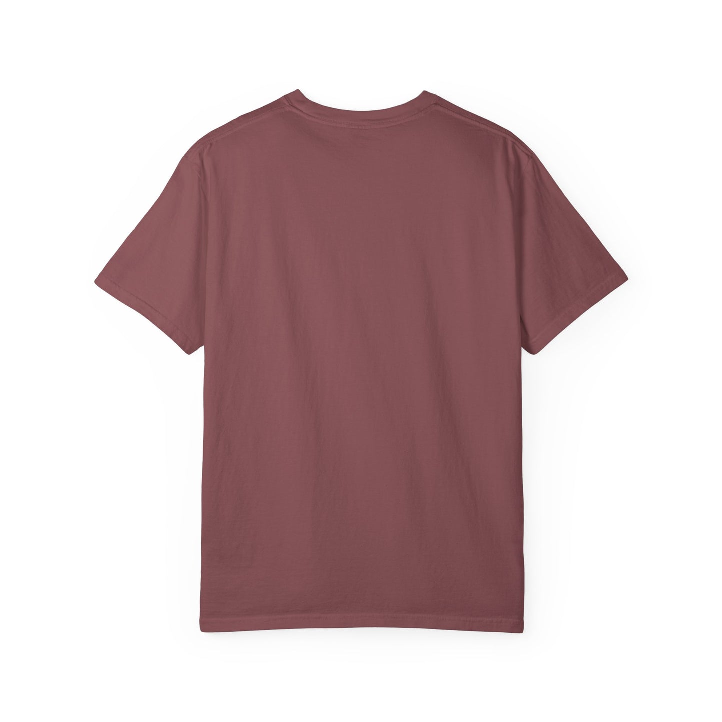 Baby Octopus Tshirt