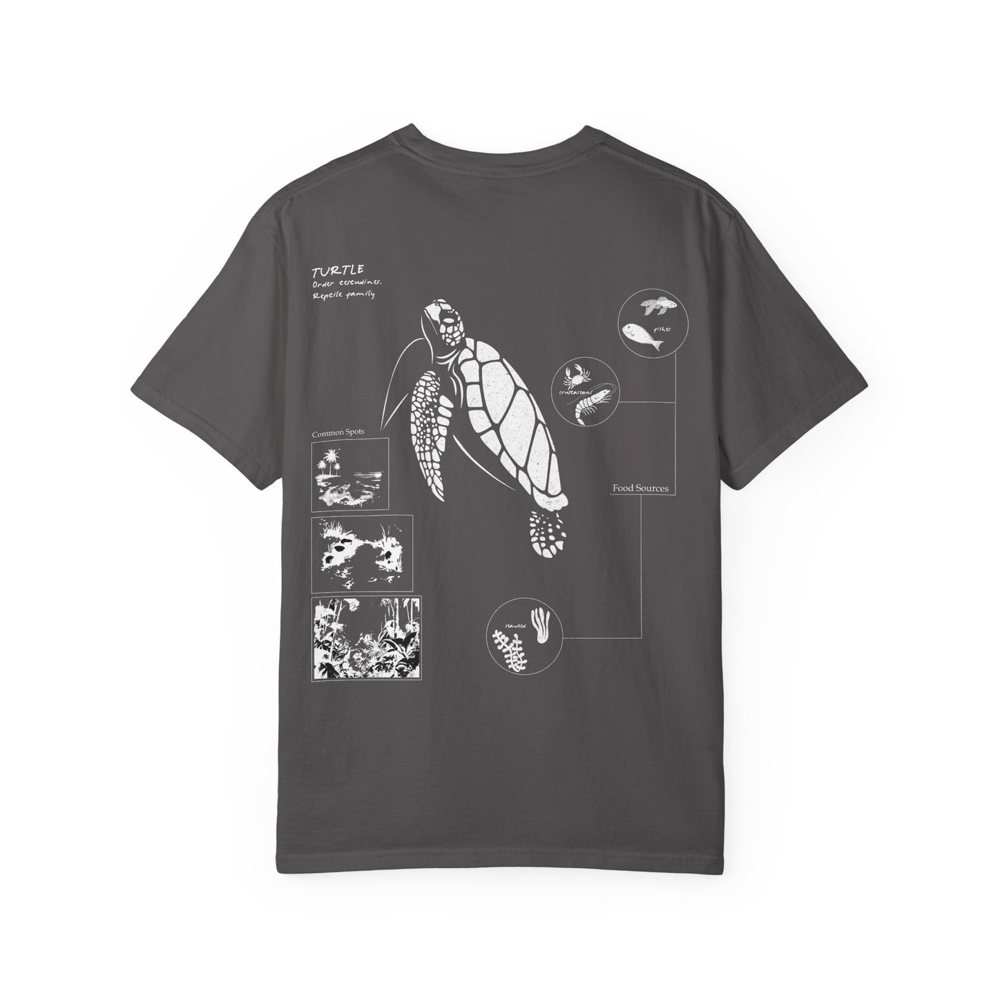 Turtle Field Notebook Tshirt