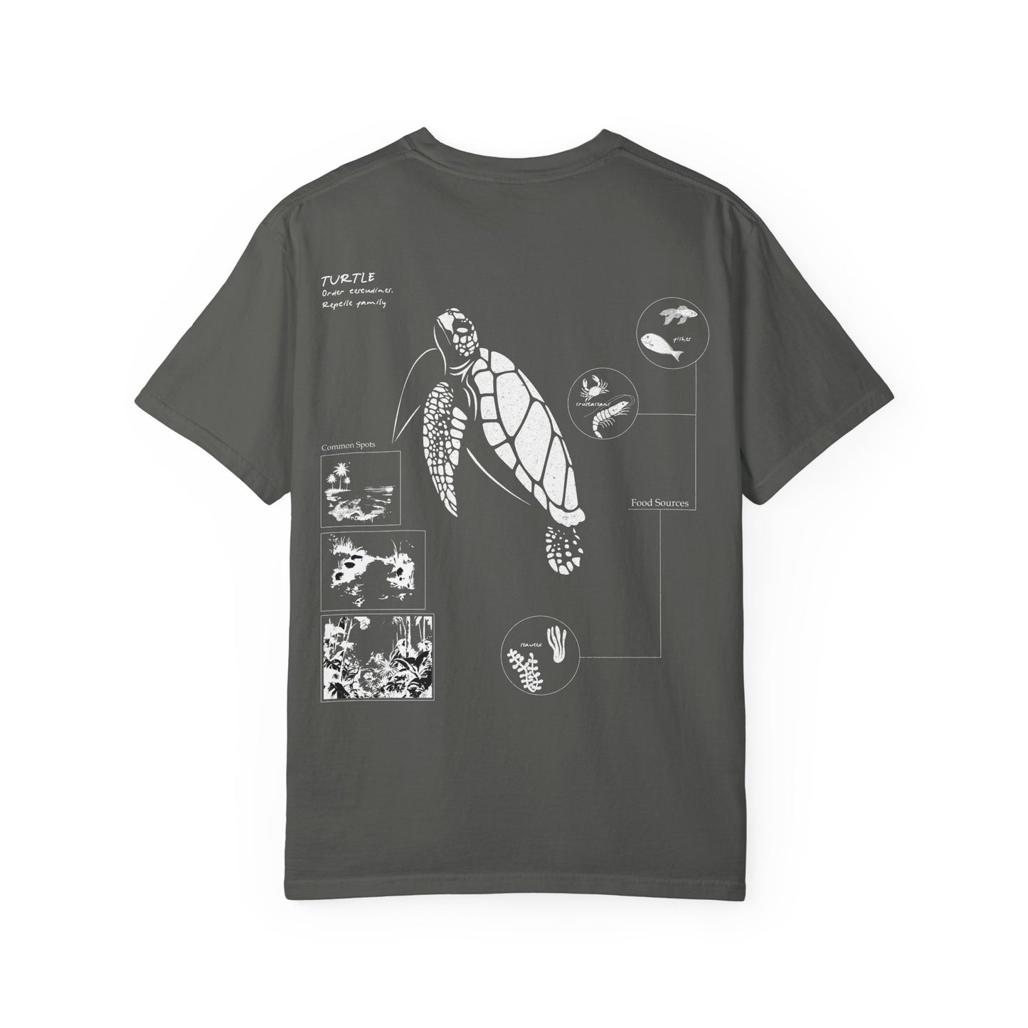 Turtle Field Notebook Tshirt