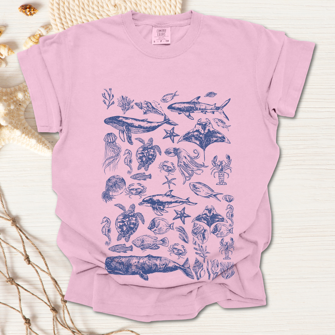 Marine Life Collection