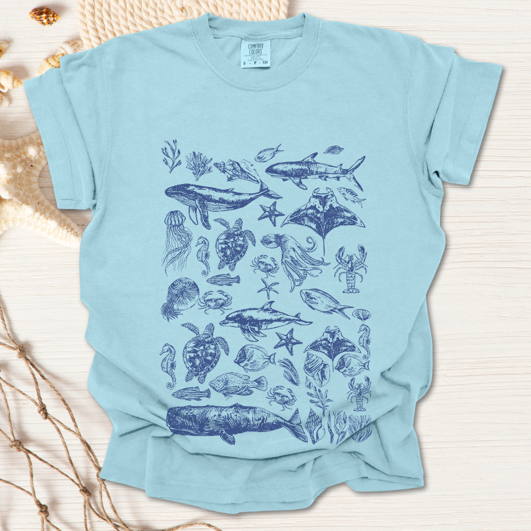 Marine Life Collection