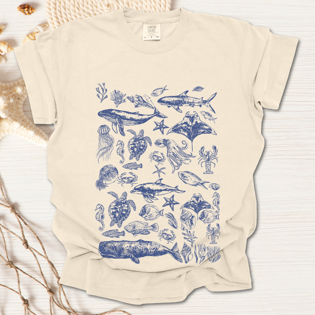 Marine Life Collection