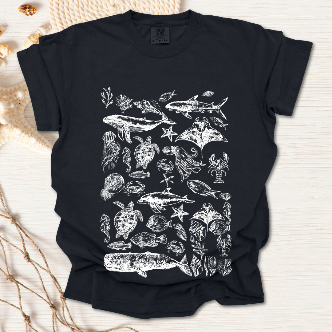 Marine Life Collection