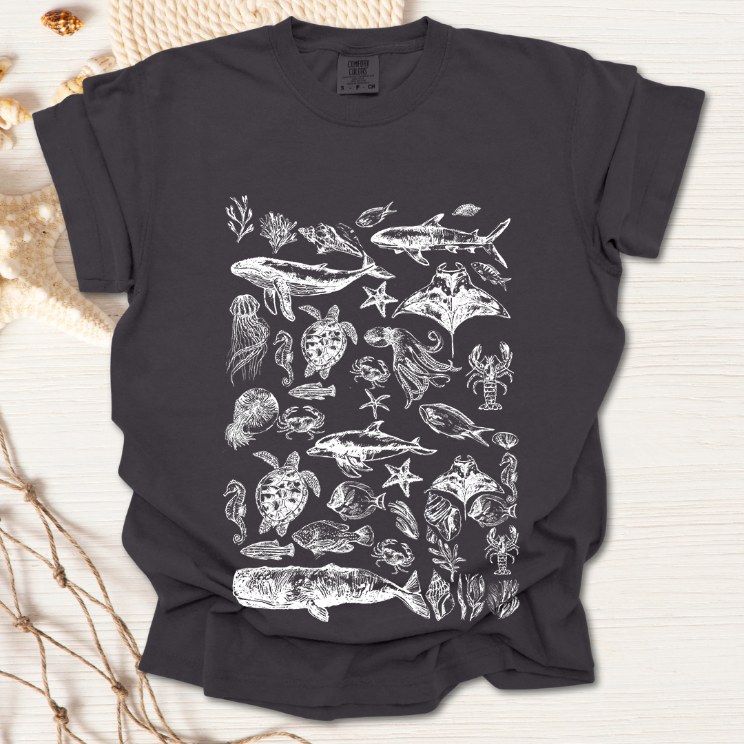 Marine Life Collection