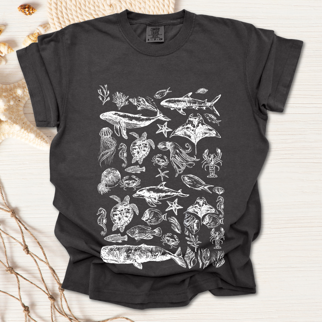Marine Life Collection