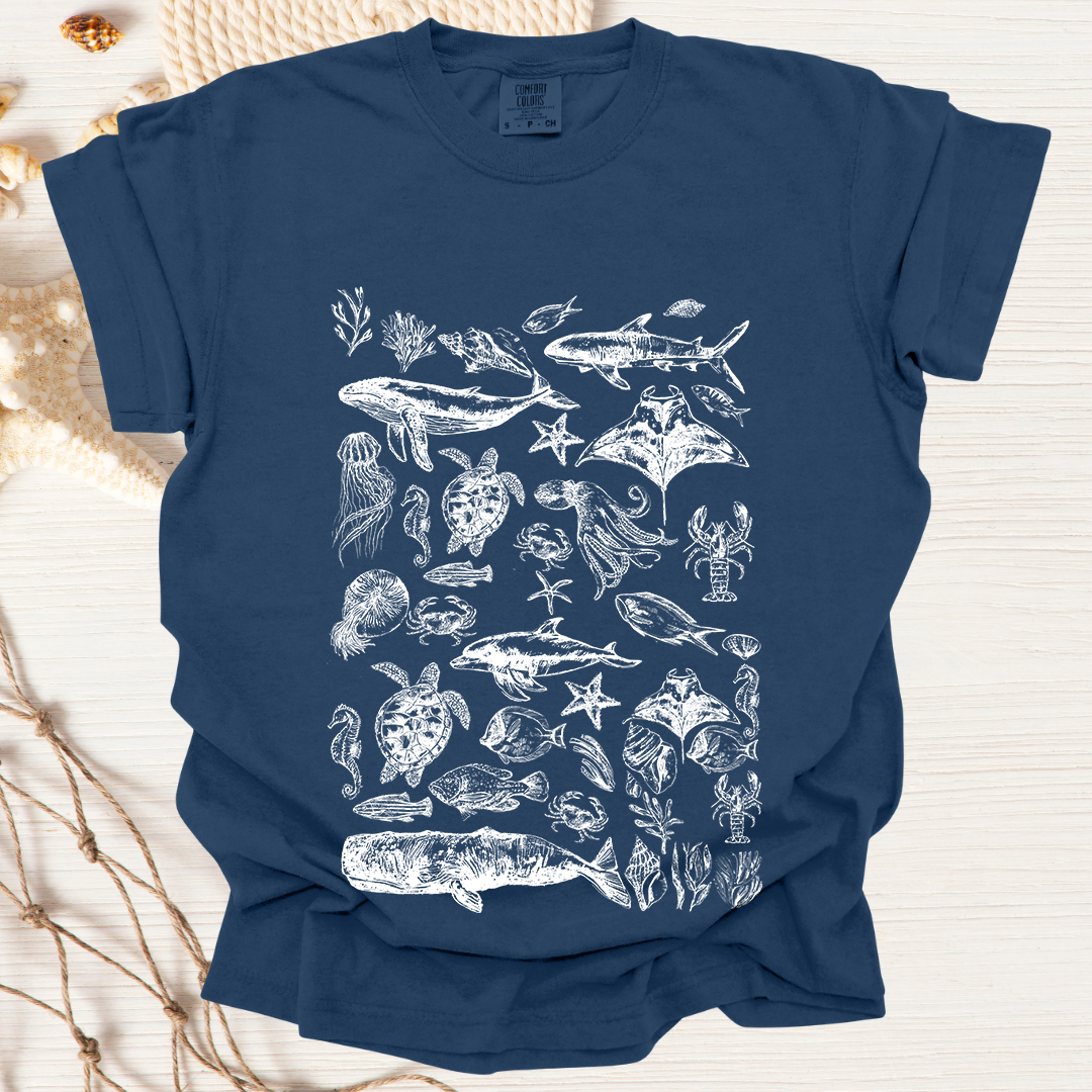 Marine Life Collection
