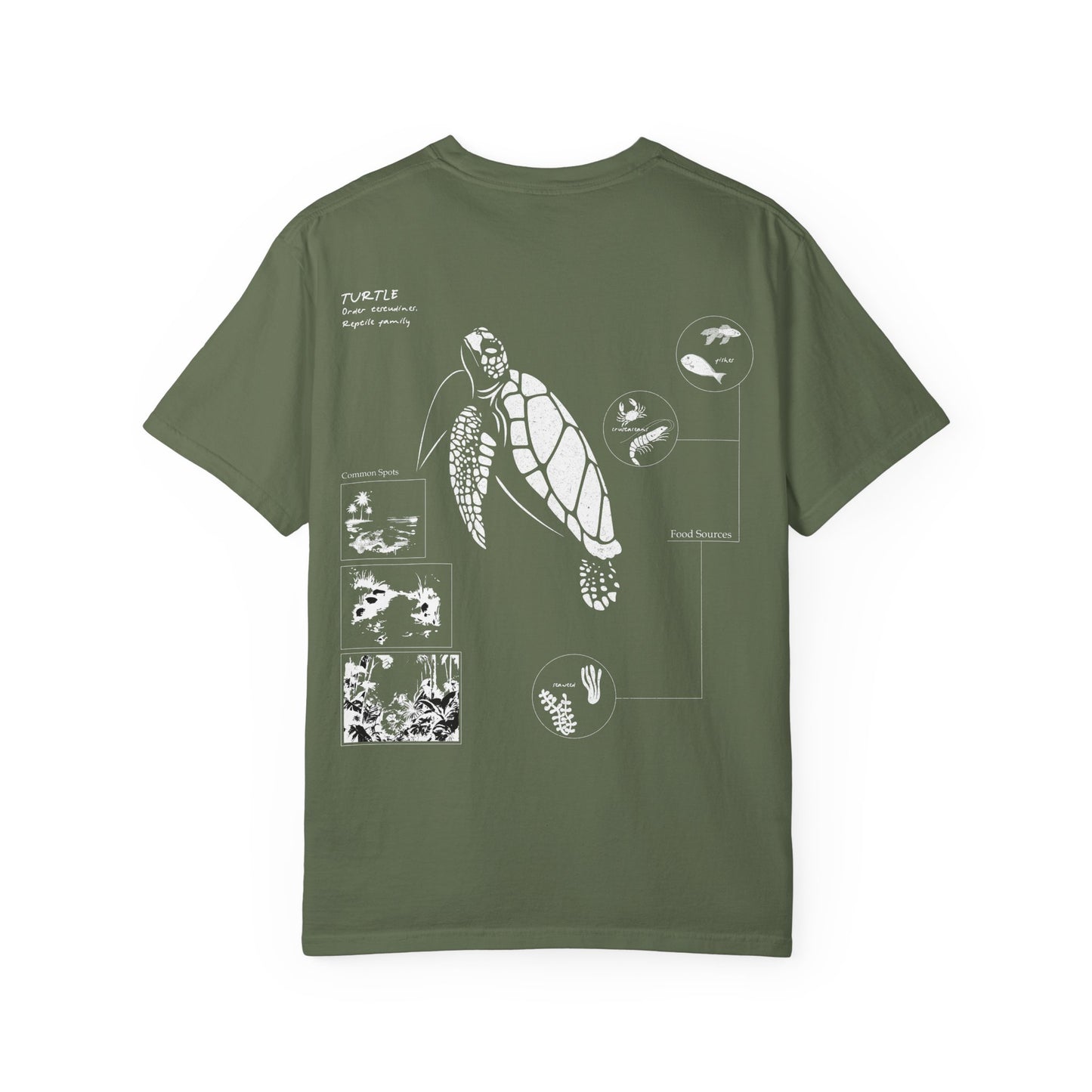 Turtle Field Notebook Tshirt