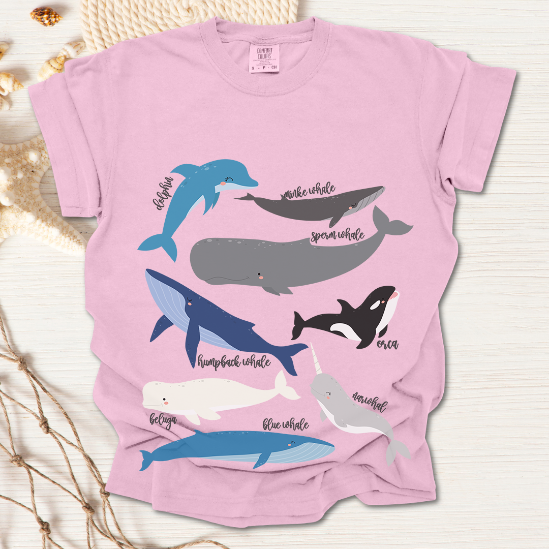 Whales Collection Tshirt