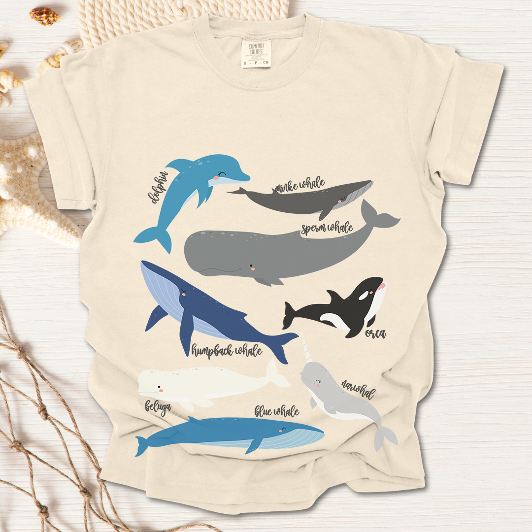 Whales Collection Tshirt