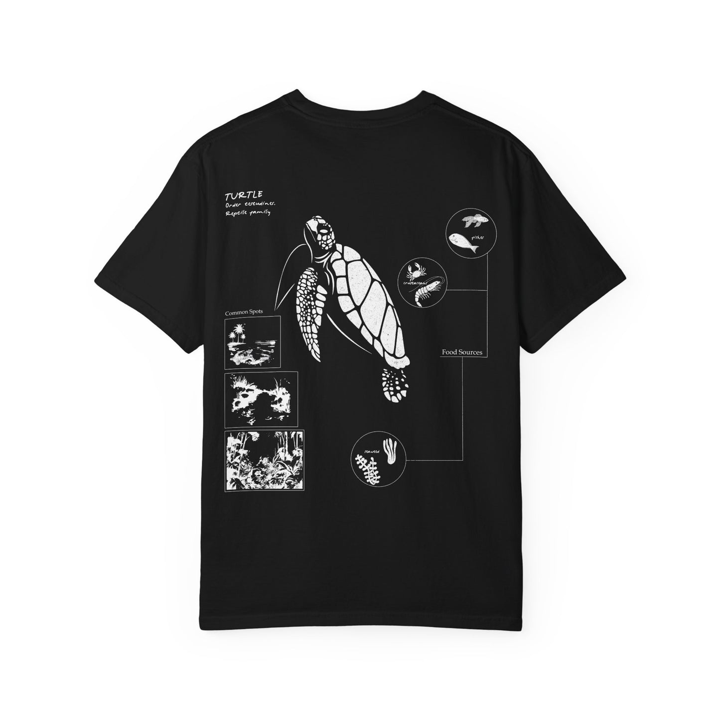Turtle Field Notebook Tshirt