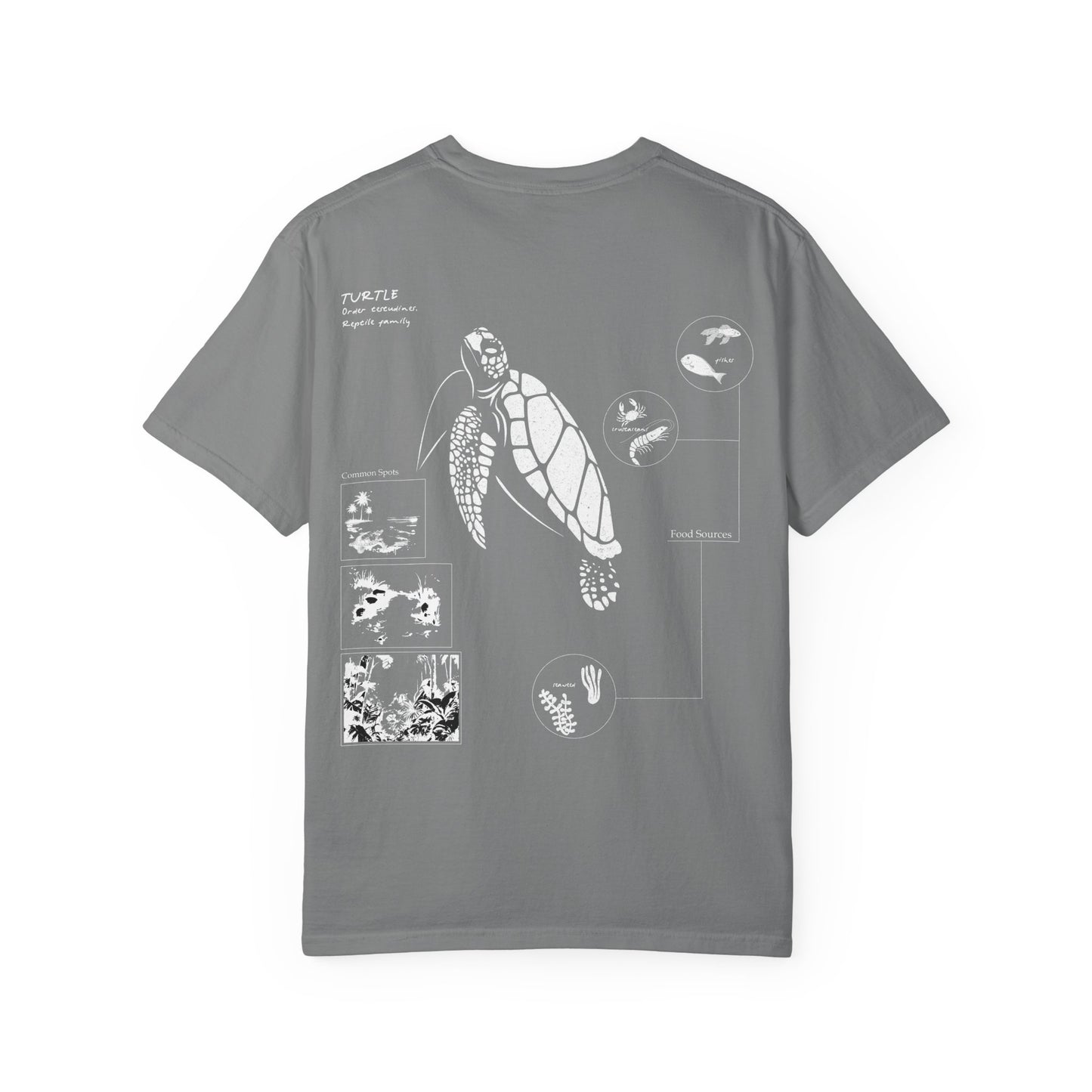Turtle Field Notebook Tshirt