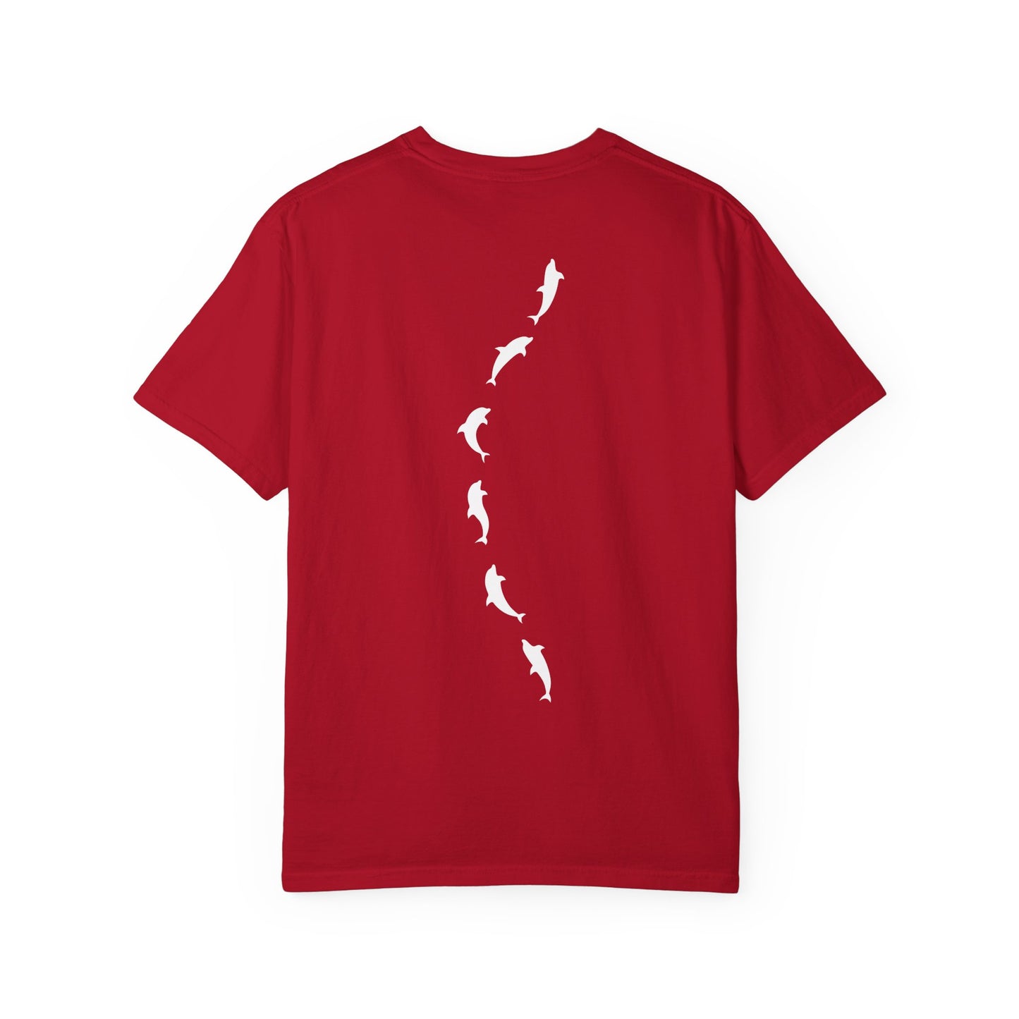 Wandering Dolphin Tshirt
