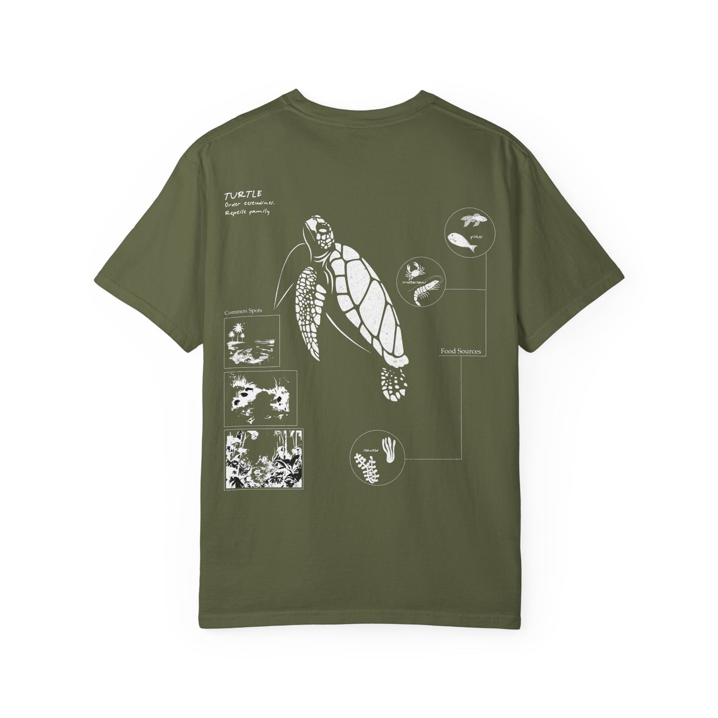 Turtle Field Notebook Tshirt
