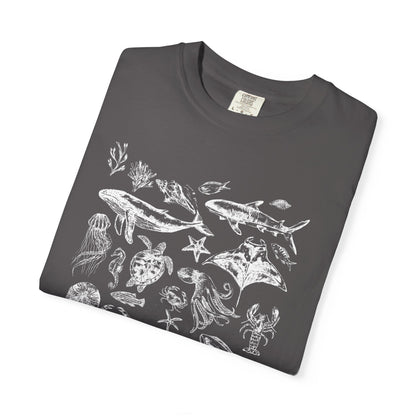Marine Life Collection