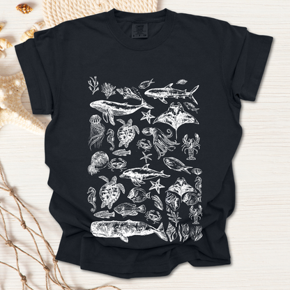 Marine Life Collection