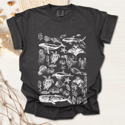 Marine Life Collection