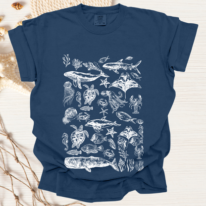 Marine Life Collection