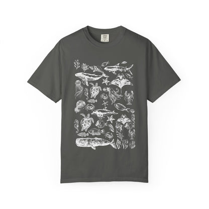 Marine Life Collection