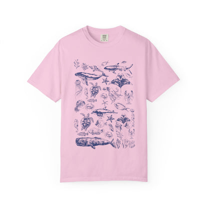 Marine Life Collection
