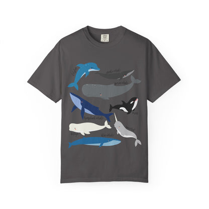 Whales Collection Tshirt