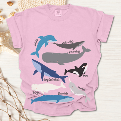Whales Collection Tshirt