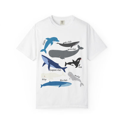 Whales Collection Tshirt