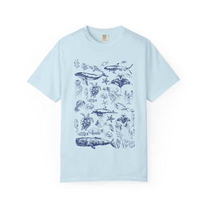 Marine Life Collection