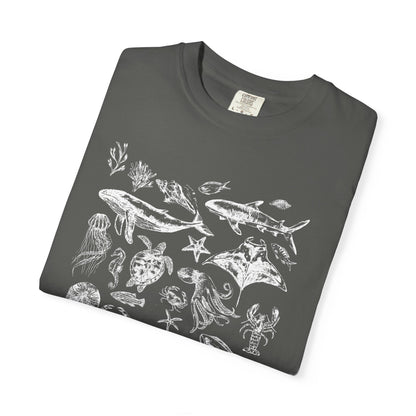 Marine Life Collection