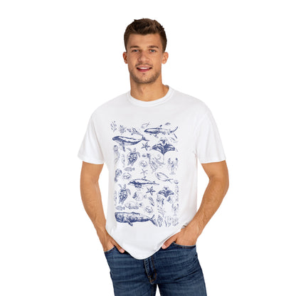 Marine Life Collection
