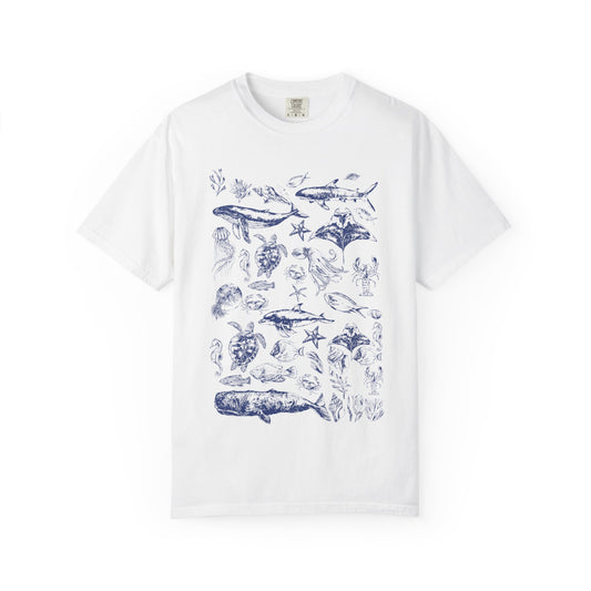Marine Life Collection