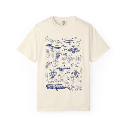 Marine Life Collection