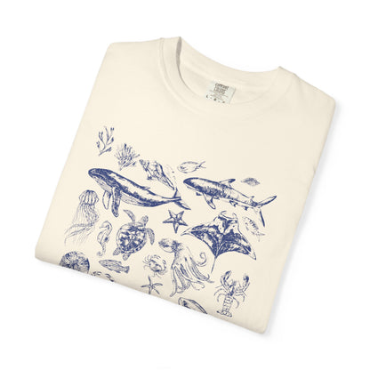 Marine Life Collection
