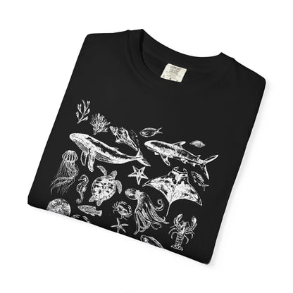 Marine Life Collection